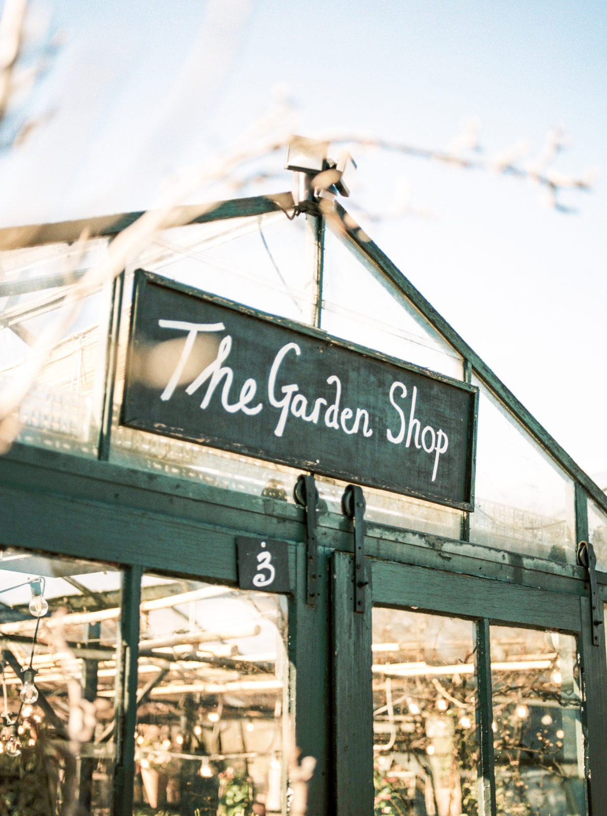 3-ways-to-share-your-expertise-jasmine-star