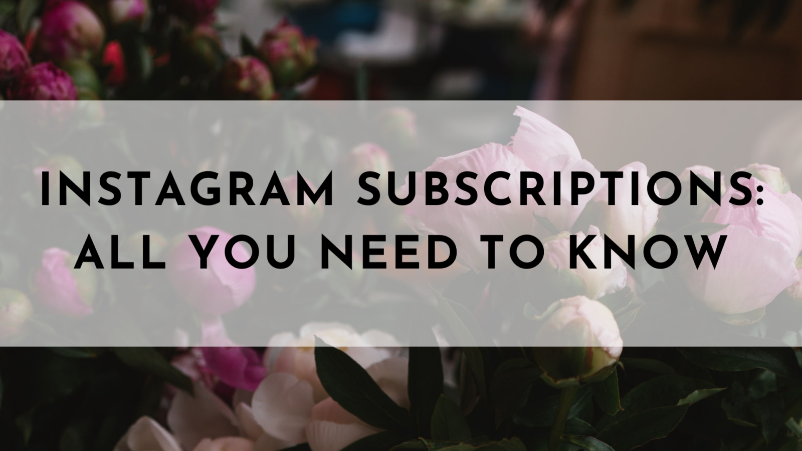 Instagram Subscriptions Everything You Need To Know Jasmine Star