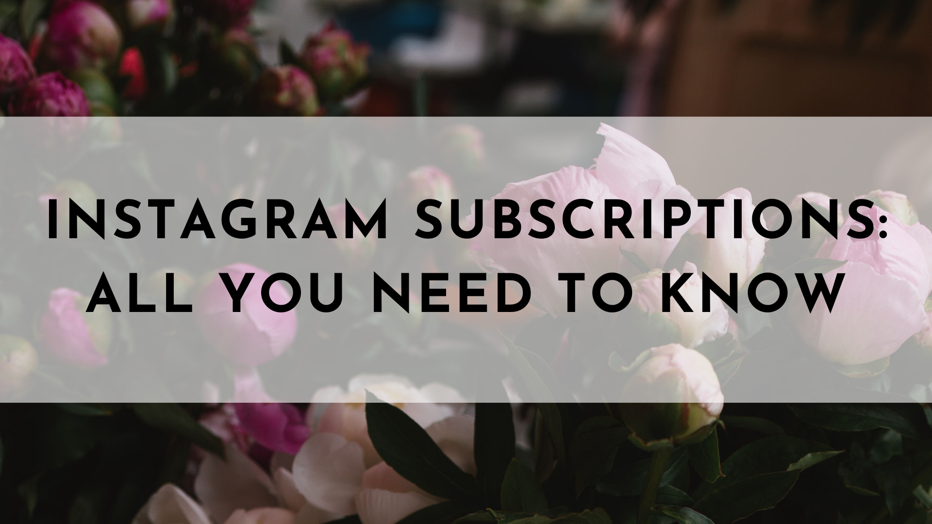 Instagram Subscriptions: Everything You Need to Know - Jasmine Star